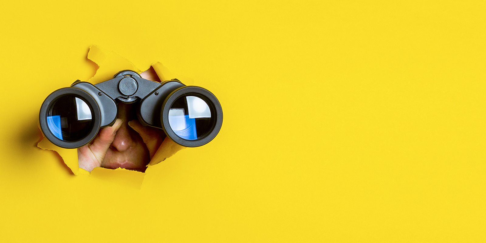 Google Discovery tarjoilee löytöjä nettisurffaajille